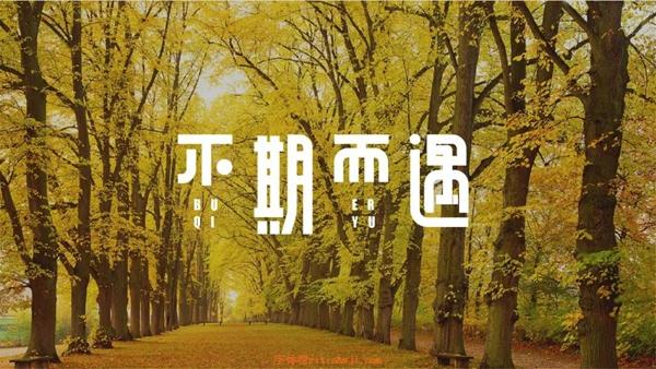 刘兵克不期而遇字体设计
