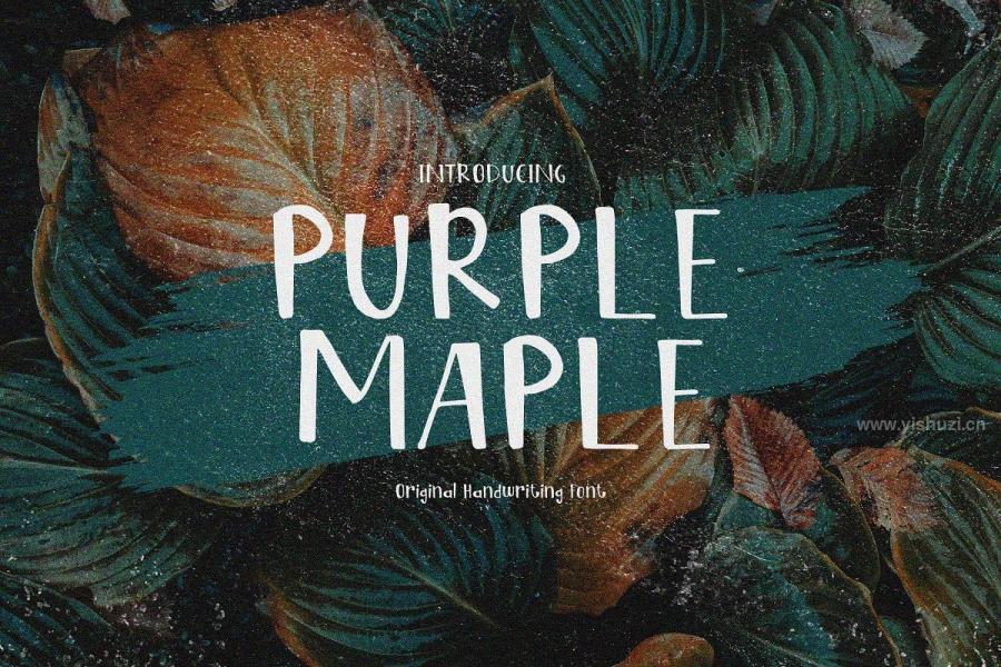 ysz-201560 Purple-Maplez2.jpg