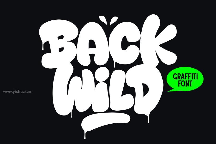 ysz-204186 Back-Wild---Fun-Graffiti-Fontz2.jpg