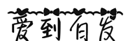 爱到白发