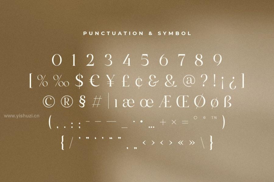 ysz-201735 Amiora---Modern-Unique-Display-Fontz10.jpg