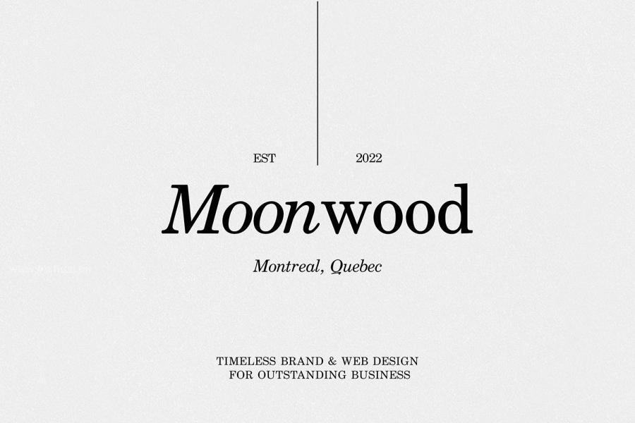 ysz-201771 Serif-font-with-Italicsz6.jpg