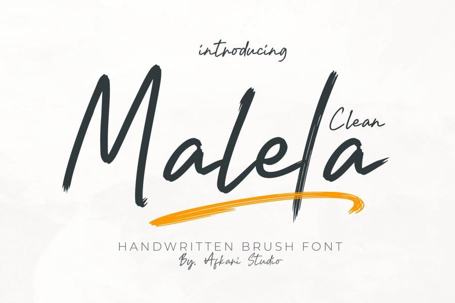 ysz-201786 Malela-Handwritten-Brush-Font-Cleanz2.jpg
