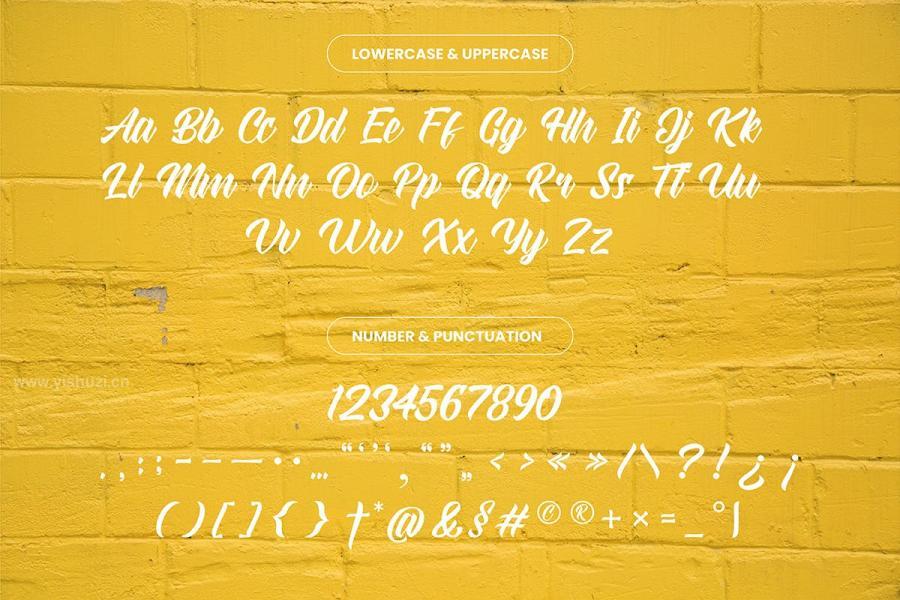 ysz-201791 Straight-Ahead---Modern-Script-Fontz11.jpg