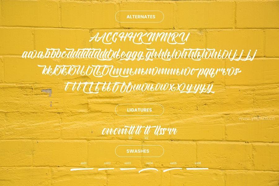 ysz-201791 Straight-Ahead---Modern-Script-Fontz4.jpg