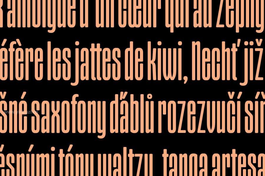 ysz-201645 Kareen-Sans-Serif-Display-Fontz7.jpg