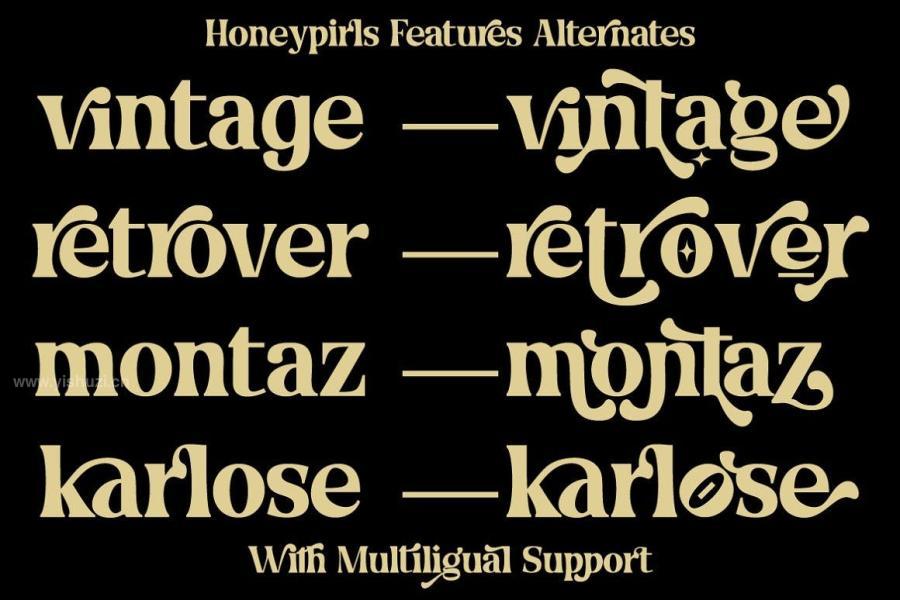 ysz-201699 Honeypirls---Retro-Serif-Fontz11.jpg