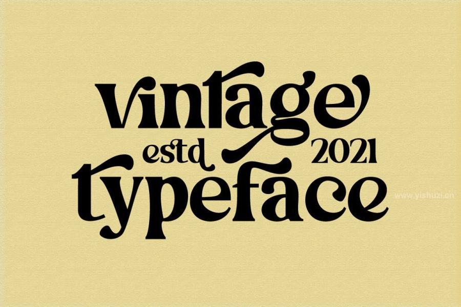 ysz-201699 Honeypirls---Retro-Serif-Fontz12.jpg