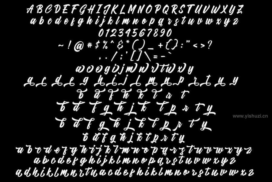 ysz-201700 Dartybe---Bold-Script-Logotypez11.jpg