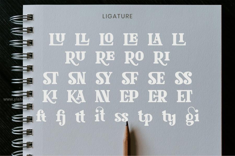 ysz-201714 Glaster-Elegant-Ligature-Serif-Fontz4.jpg
