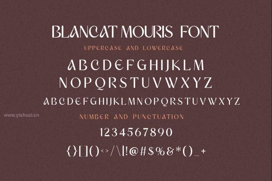 ysz-201715 Blancat-Mouris-Serifz3.jpg