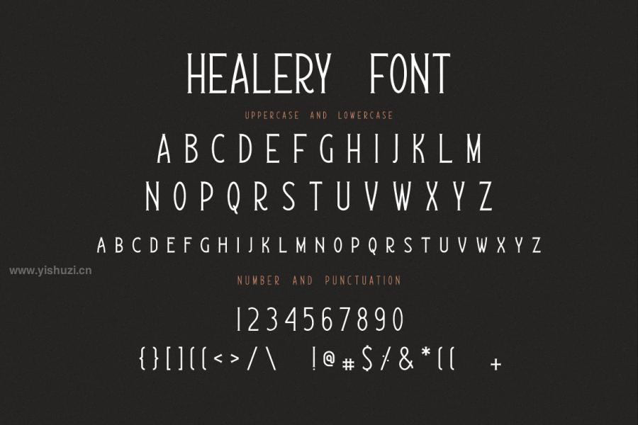 ysz-201716 Healery-Serif-Modern-Fontz7.jpg