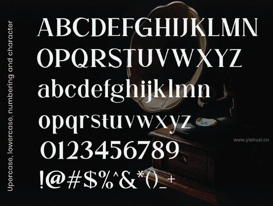 ysz-201719 Chrastle-Modern-Serif-Typefacez3.jpg