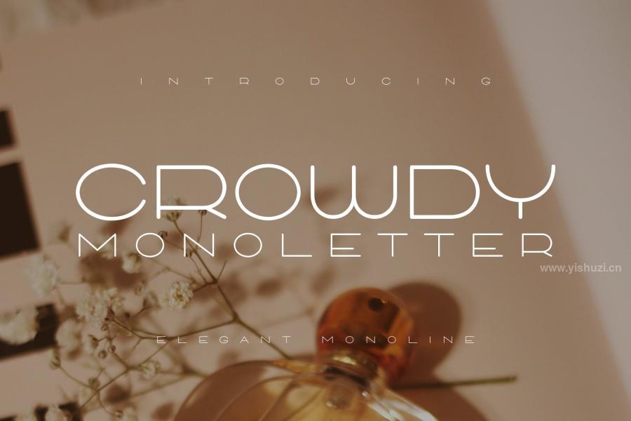 ysz-201891 Crowdy-Monoletterz2.jpg