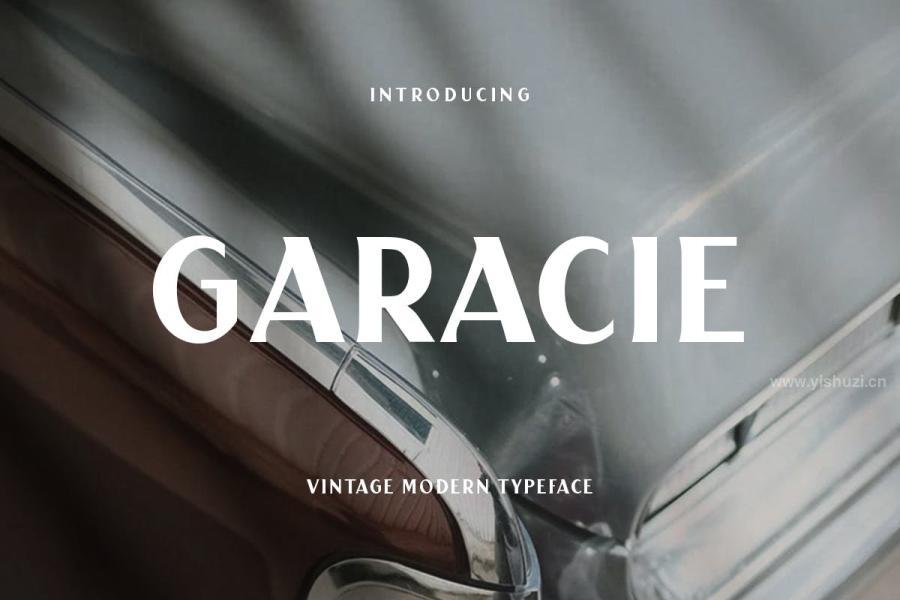 ysz-201899 Garacie-Vintage-Modern-Fontz4.jpg