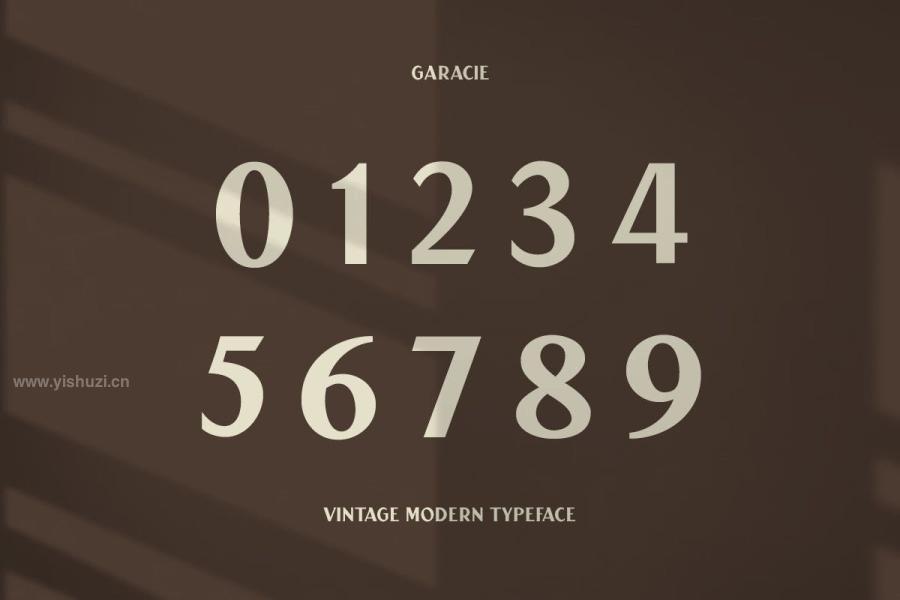 ysz-201899 Garacie-Vintage-Modern-Fontz6.jpg