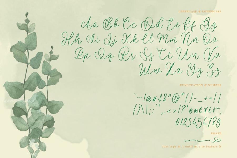 ysz-201975 Vania--Randy-A-Simply-Handwritten-Fontz3.jpg