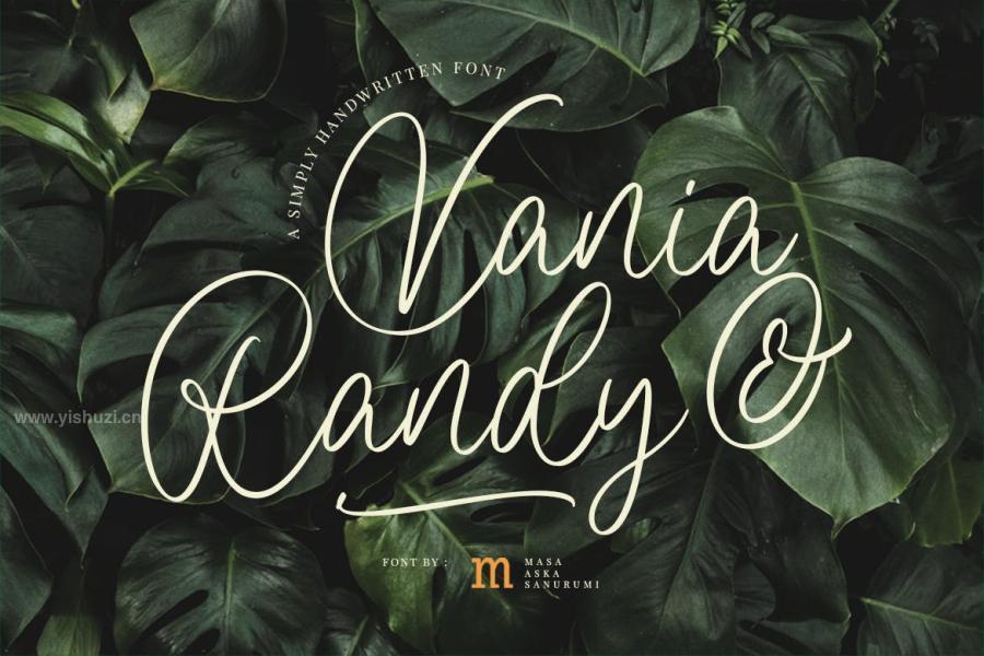 ysz-201975 Vania--Randy-A-Simply-Handwritten-Fontz5.jpg