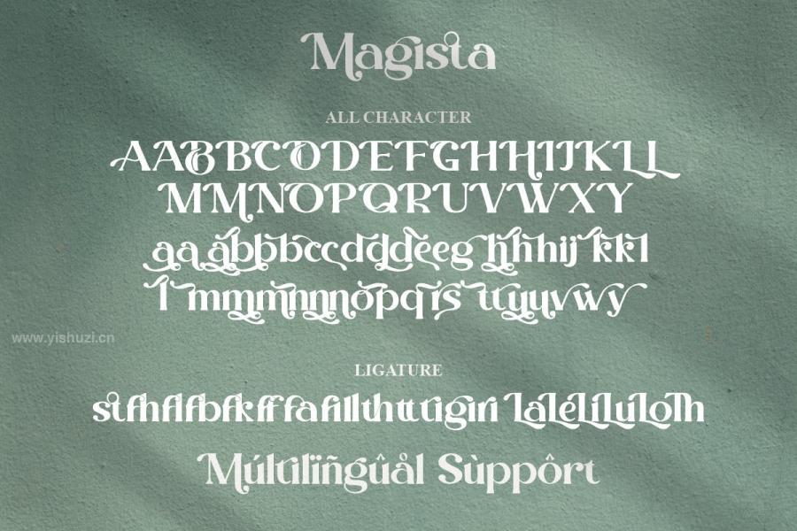 ysz-202039 Magista---Modern-Stylish-Serif-Fontz17.jpg