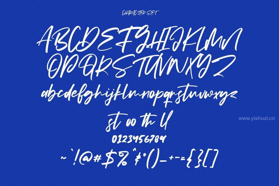 ysz-202089 Qubikals-Handwritten-Script-Fontz8.jpg