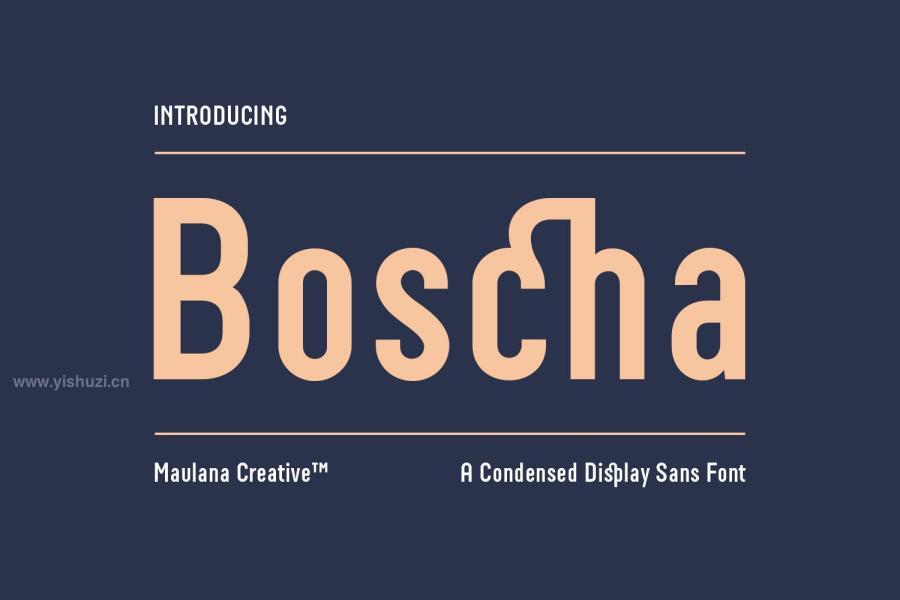 ysz-202090 Boscha-Condensed-Display-Sans-Fontz2.jpg