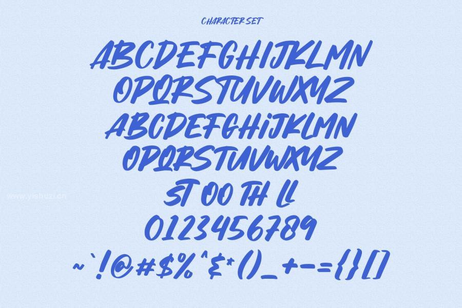 ysz-202094 Krinksly-Handwritten-Display-Fontz6.jpg
