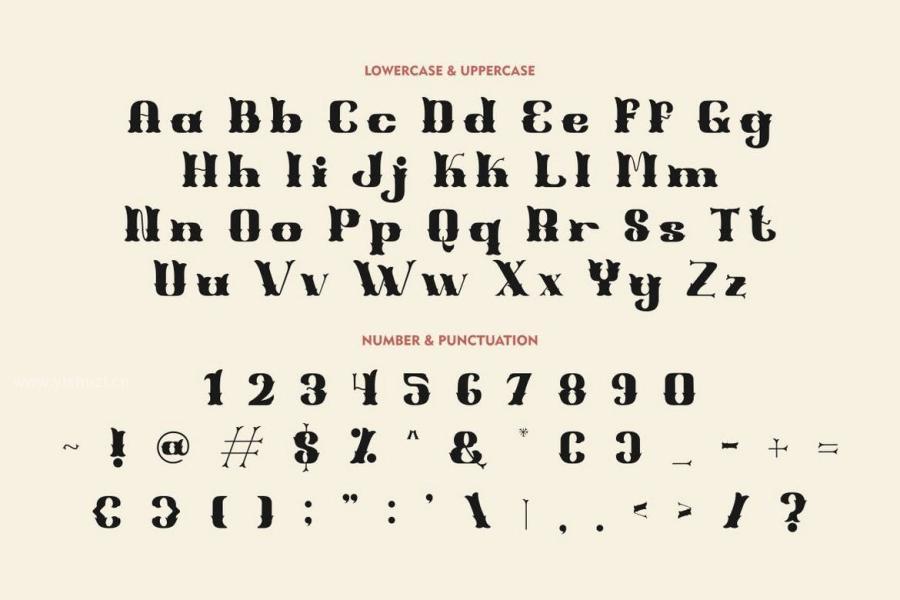 ysz-202156 Shell-Mera---Serif-Vintage-Fontz7.jpg