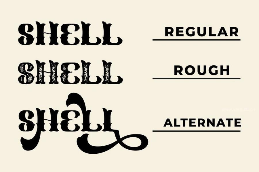 ysz-202156 Shell-Mera---Serif-Vintage-Fontz8.jpg