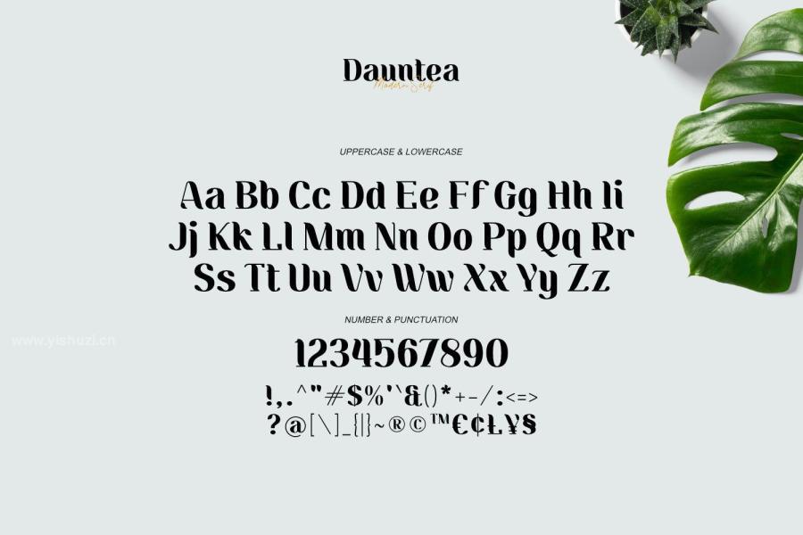 ysz-202192 Dauntea---Modern-Serif-Typefacez3.jpg