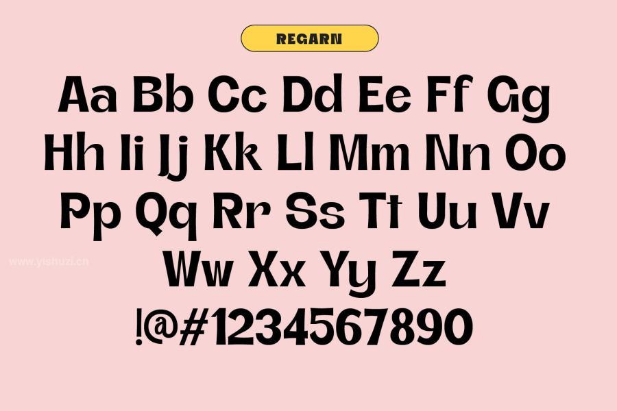 ysz-202205 Regarn-Font-Family--Variablez5.jpg