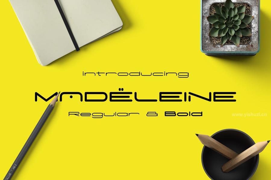 ysz-202213 Madeleine-Typefacez6.jpg