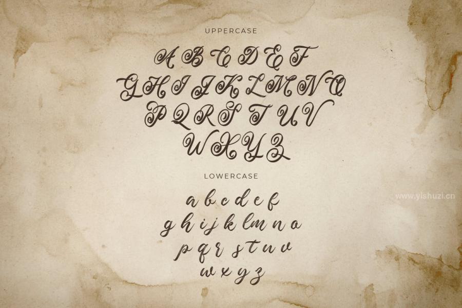 ysz-202231 Valleita-Script---A-Textured-Script-Fontz17.jpg