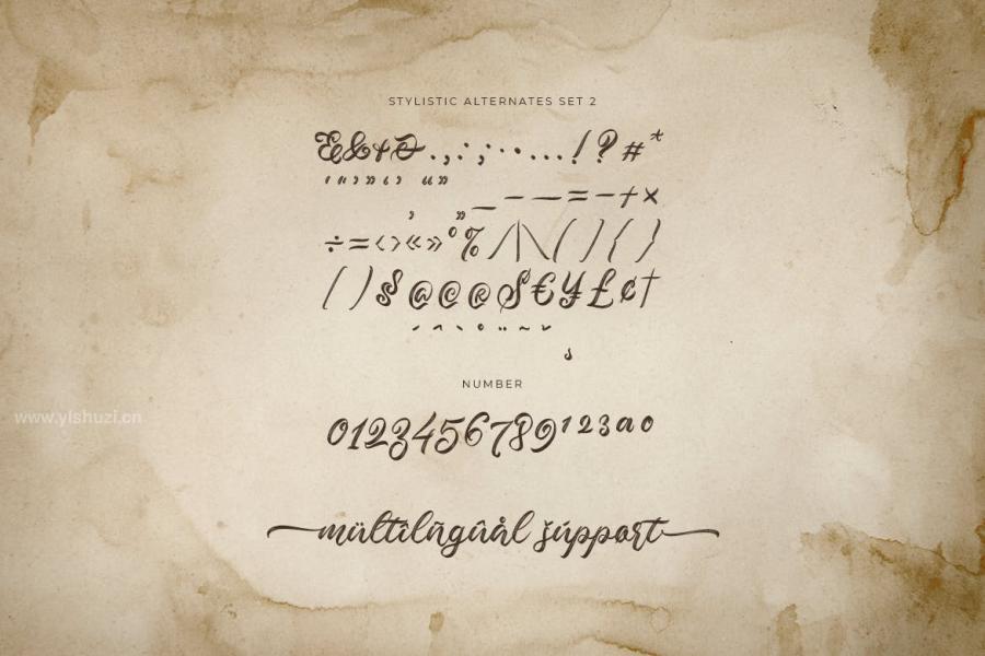 ysz-202231 Valleita-Script---A-Textured-Script-Fontz5.jpg