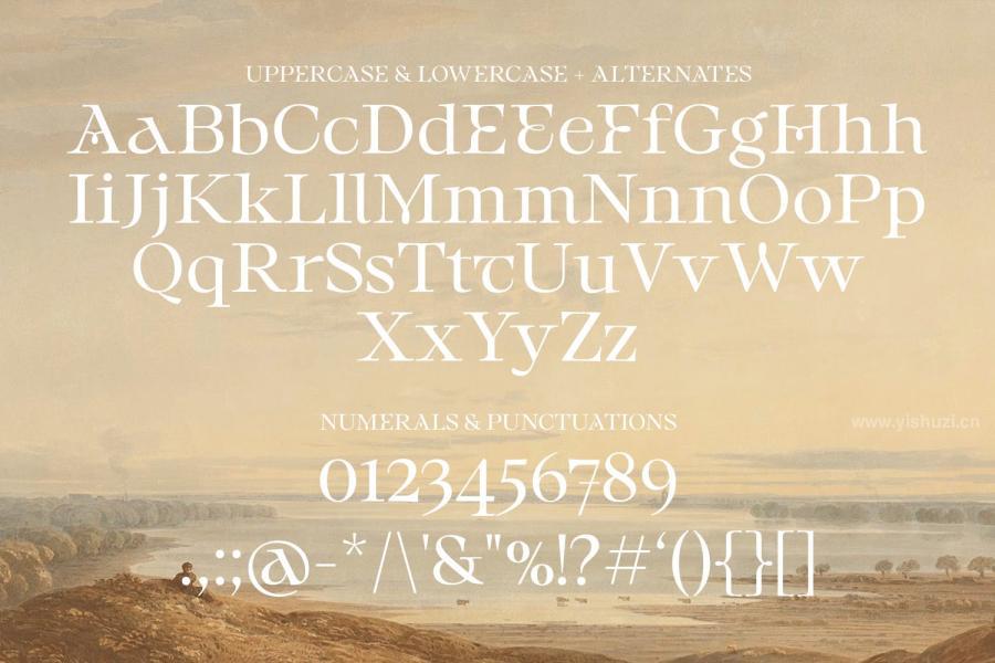 ysz-202389 Steravina---Authentic-Serif-Typefacez10.jpg