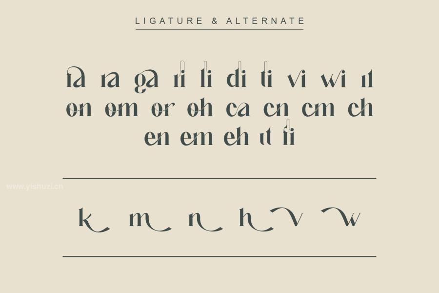 ysz-202391 Galin-Ligature-Serif-Typefacez6.jpg