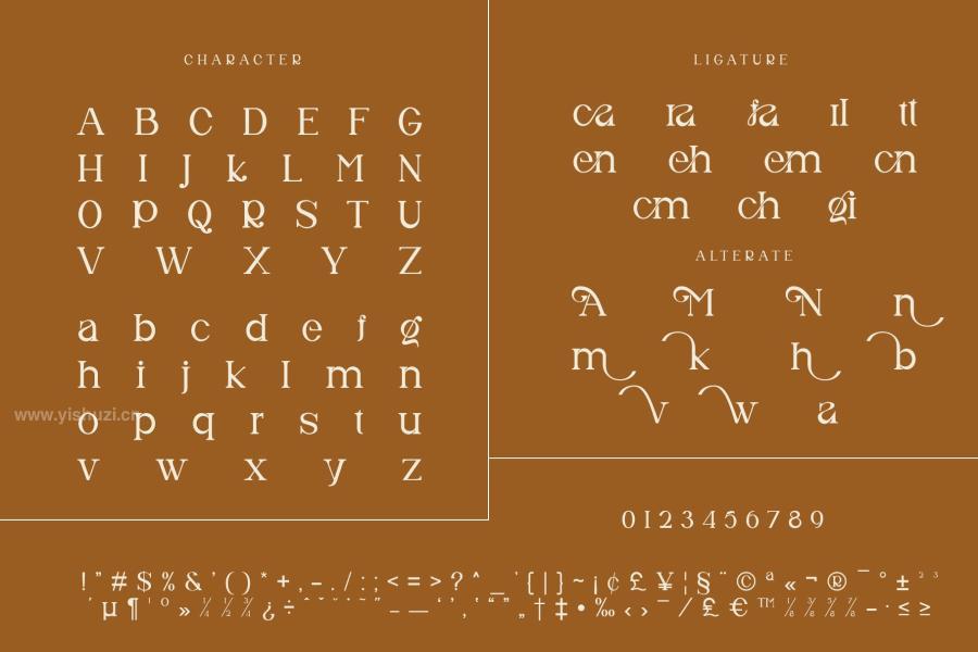 ysz-202395 Montsera-Unique-Ligature-Serif-Typefacez4.jpg