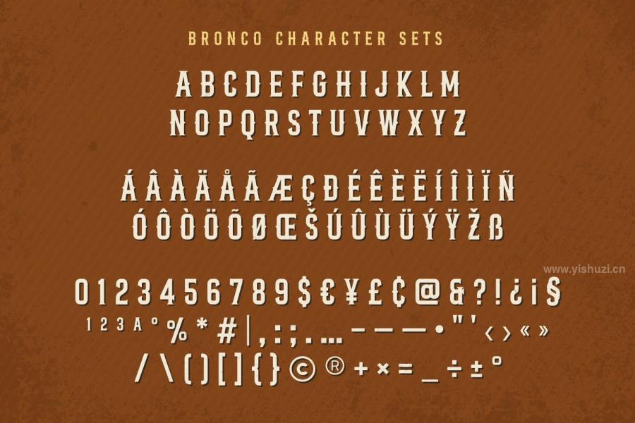 ysz-202419 Bronco-Valleyz3.jpg
