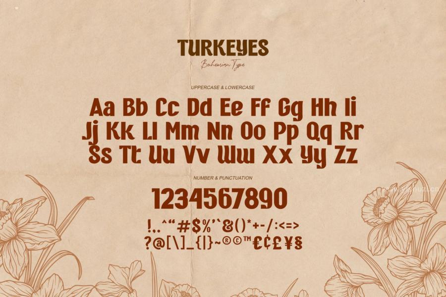 ysz-202433 Turkeyes---Bohemian-Typez5.jpg