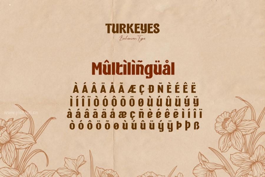 ysz-202433 Turkeyes---Bohemian-Typez6.jpg