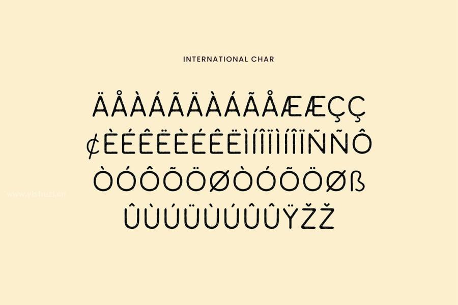 ysz-202436 Caparison-Vintage-Typeface-Fontz8.jpg
