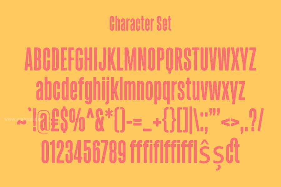 ysz-202437 Fectron-Condensed-Sans-Fontz7.jpg