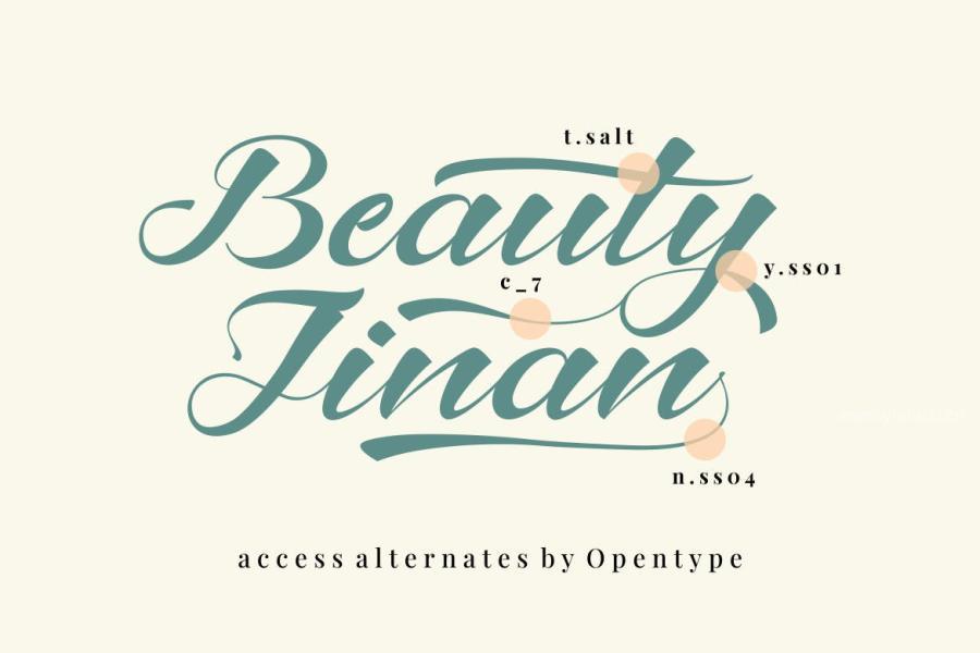 ysz-202442 Beauty-Jinan---A-Script-Fontz7.jpg