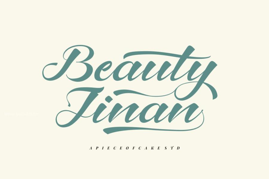 ysz-202442 Beauty-Jinan---A-Script-Fontz9.jpg