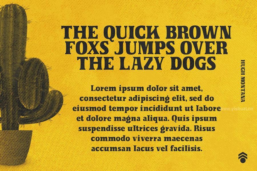 ysz-202463 Hugh-Montana---Vintage-Sans-Serif-Fontz7.jpg