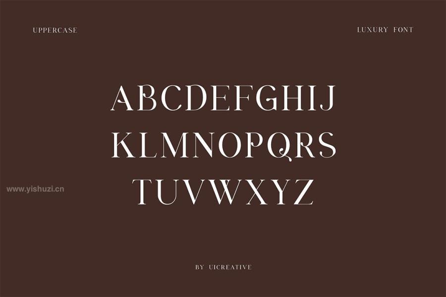 ysz-202465 Brunizer-Display-Serif-Fontz10.jpg