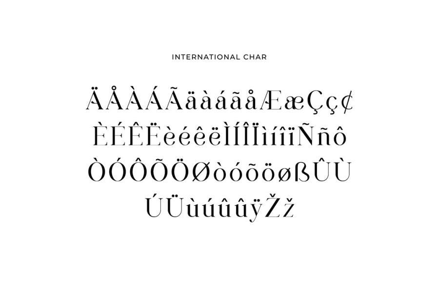ysz-202465 Brunizer-Display-Serif-Fontz11.jpg