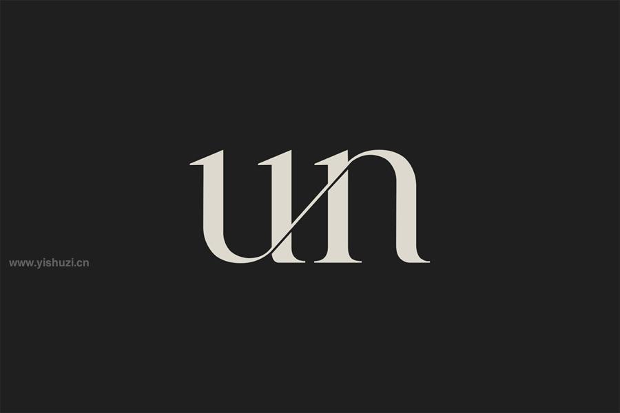 ysz-202465 Brunizer-Display-Serif-Fontz12.jpg