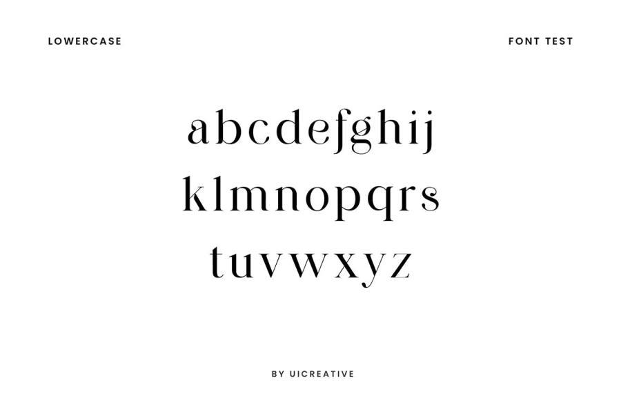 ysz-202465 Brunizer-Display-Serif-Fontz14.jpg