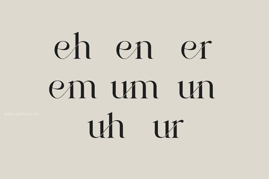 ysz-202465 Brunizer-Display-Serif-Fontz5.jpg