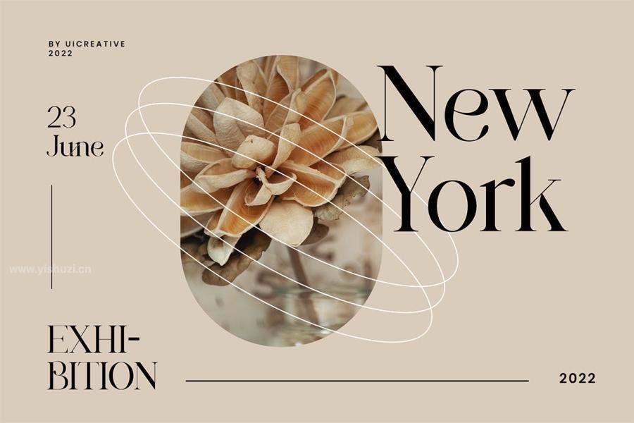 ysz-202465 Brunizer-Display-Serif-Fontz6.jpg